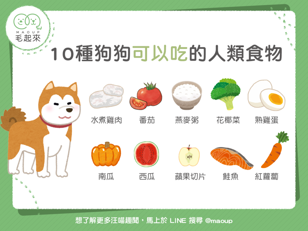 【毛孩食材圖鑑】10 種狗狗可以吃的人類食物