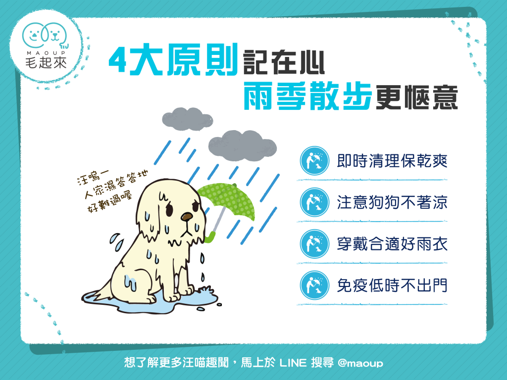 【雨季出門趣】4大原則記在心，雨季散步更愜意！