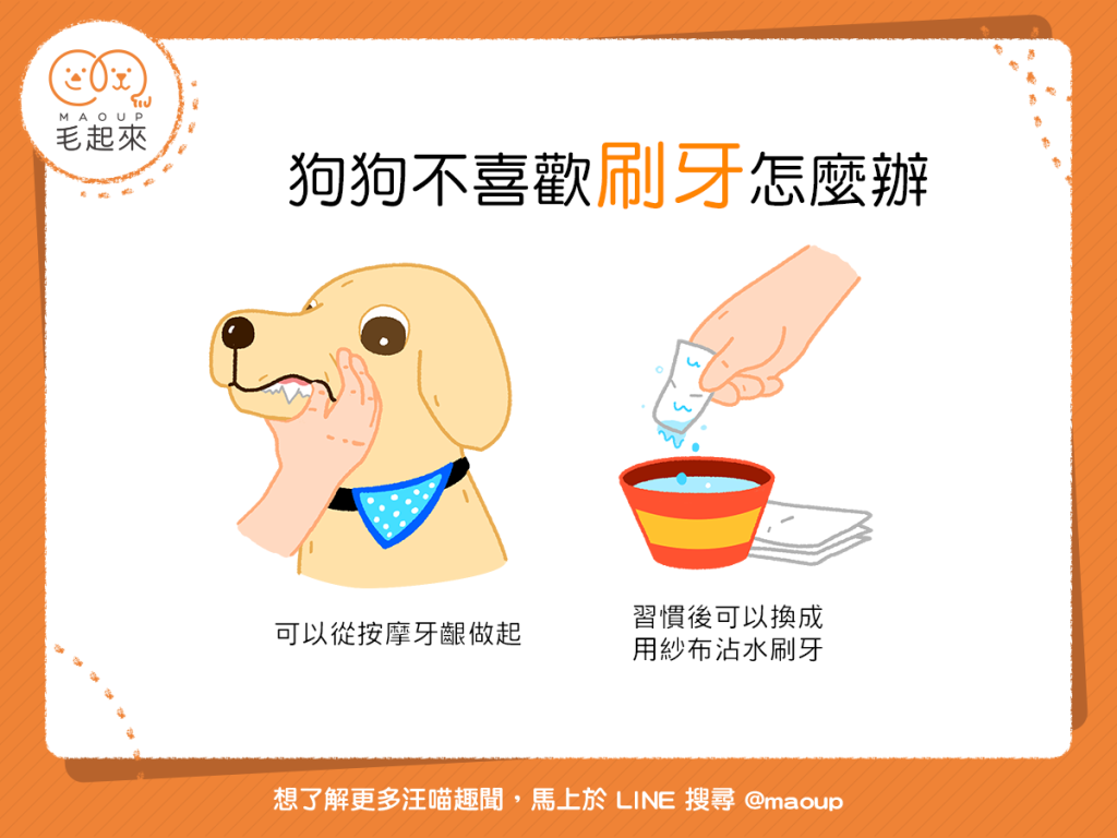【別再狗齒不清了！】口腔保健好重要，但狗狗討厭刷牙怎麼辦？