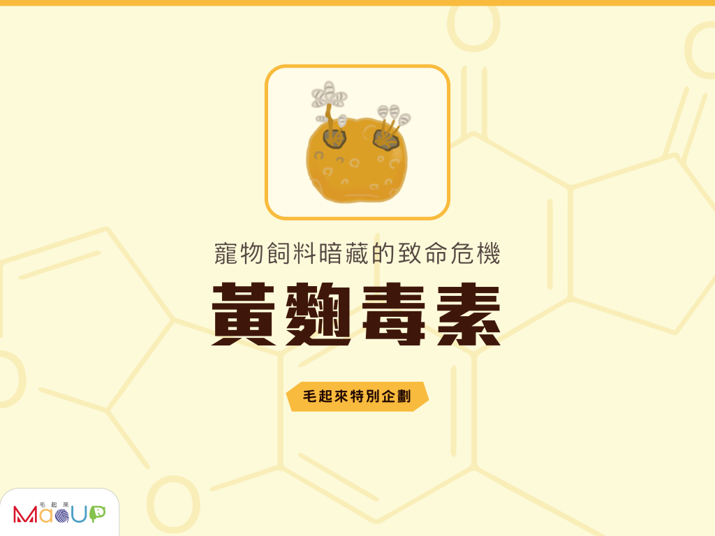 【毛起來特別企劃】寵物飼料暗藏的致命危機——黃麴毒素！