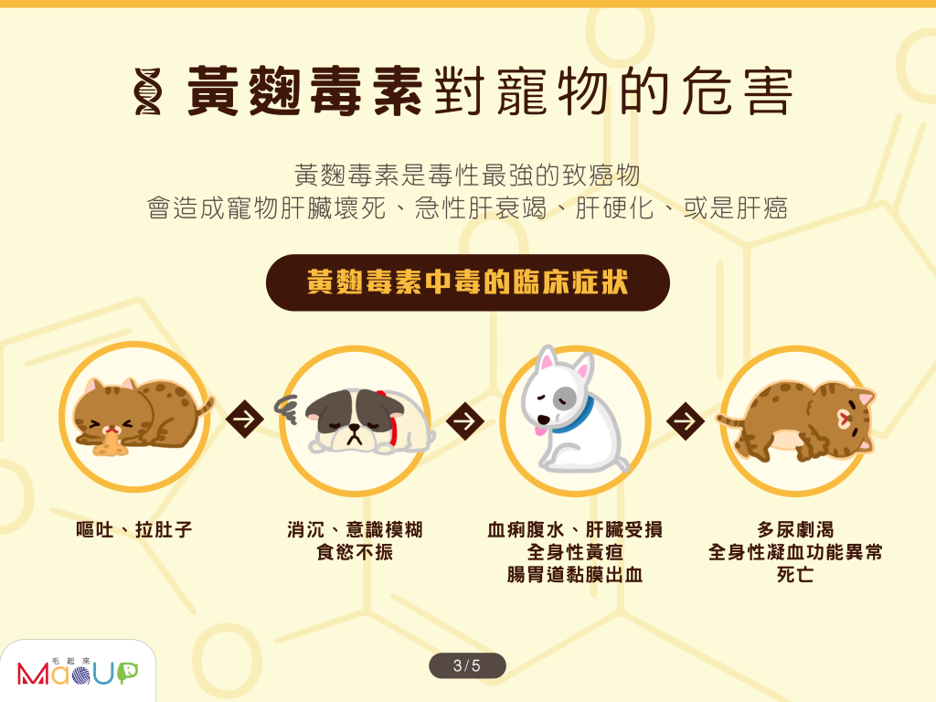 黃麴毒素對寵物的危害