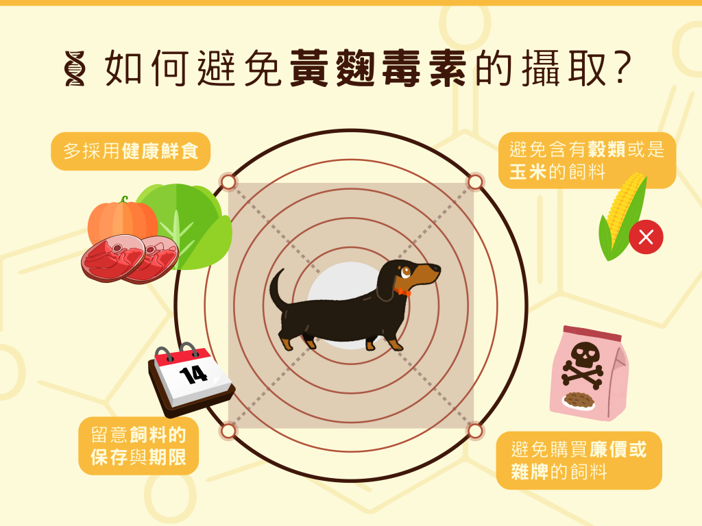 如何避免環麴毒素的攝取？