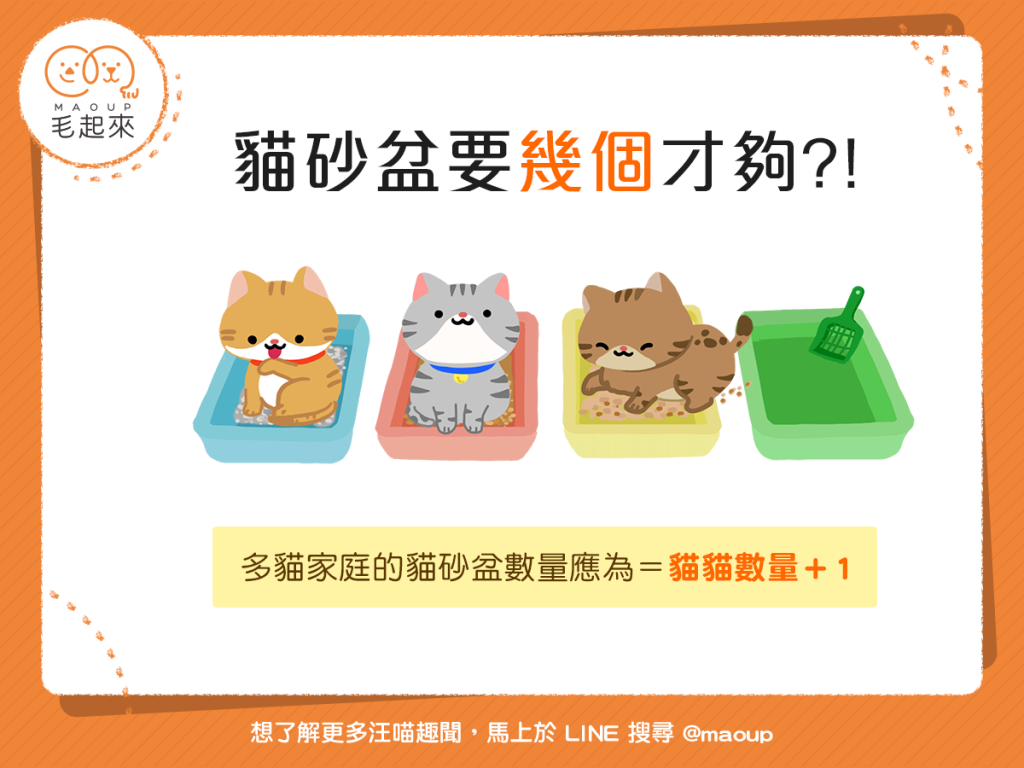 【喵喵家居】多貓家庭的貓砂盆，要多少個才不會「供不應求」？
