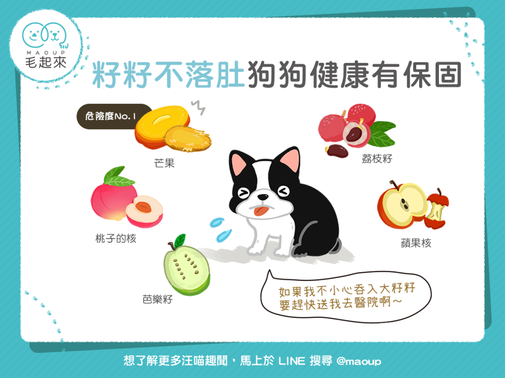 【毛孩食材圖鑑】水果籽不落肚，狗狗健康有保固！
