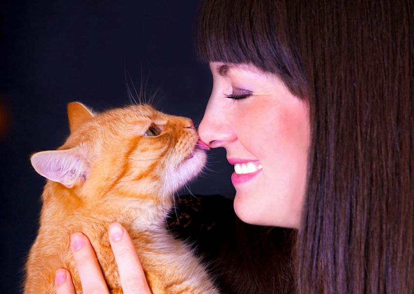 cat-licking-womans-face