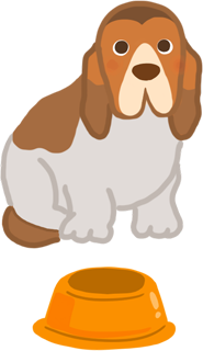 長耳朵的狗米格魯查理士巴吉度窄口的寵物食碗