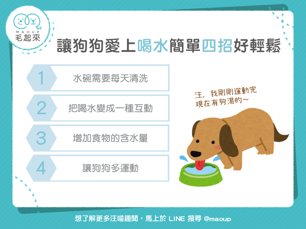 【汪喵餵養知識】狗狗只愛玩水不喝水？！簡單 4 招讓狗狗多喝水！