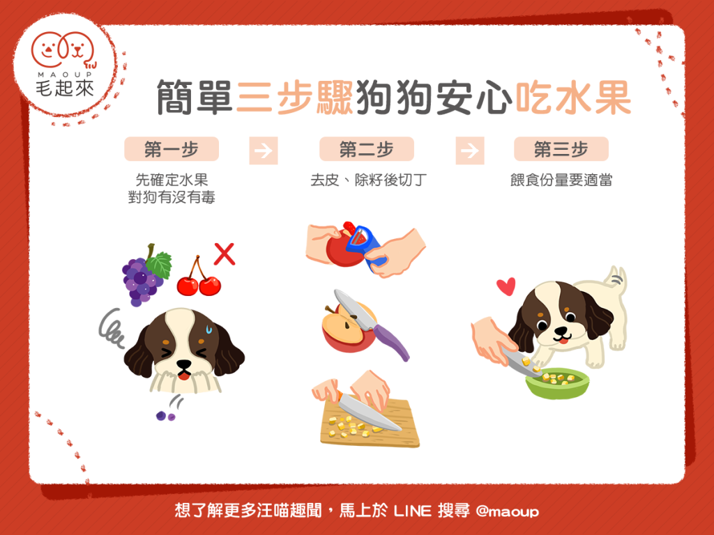 【鮮食烹飪秘訣】簡單 3 步驟～狗狗安心吃水果