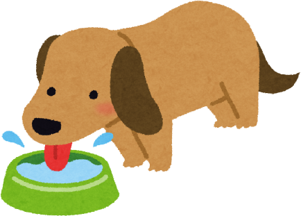 狗狗只愛玩水不喝水簡單4招讓狗狗多喝水水碗每天勤清洗喝水當作玩遊戲增加食物含水量多多運動愛喝水