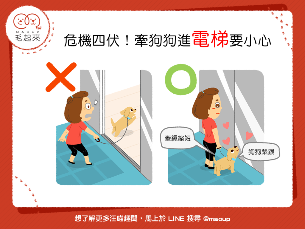 【縮短牽繩有保障】帶狗狗進電梯別大意！當心「人狗兩隔」！