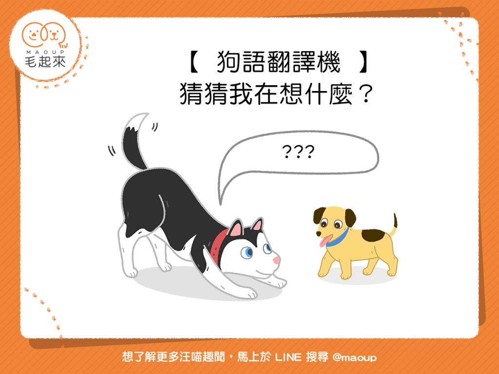 【狗語翻譯機】看狗狗的動作～猜狗狗的心思～測你多懂狗狗！