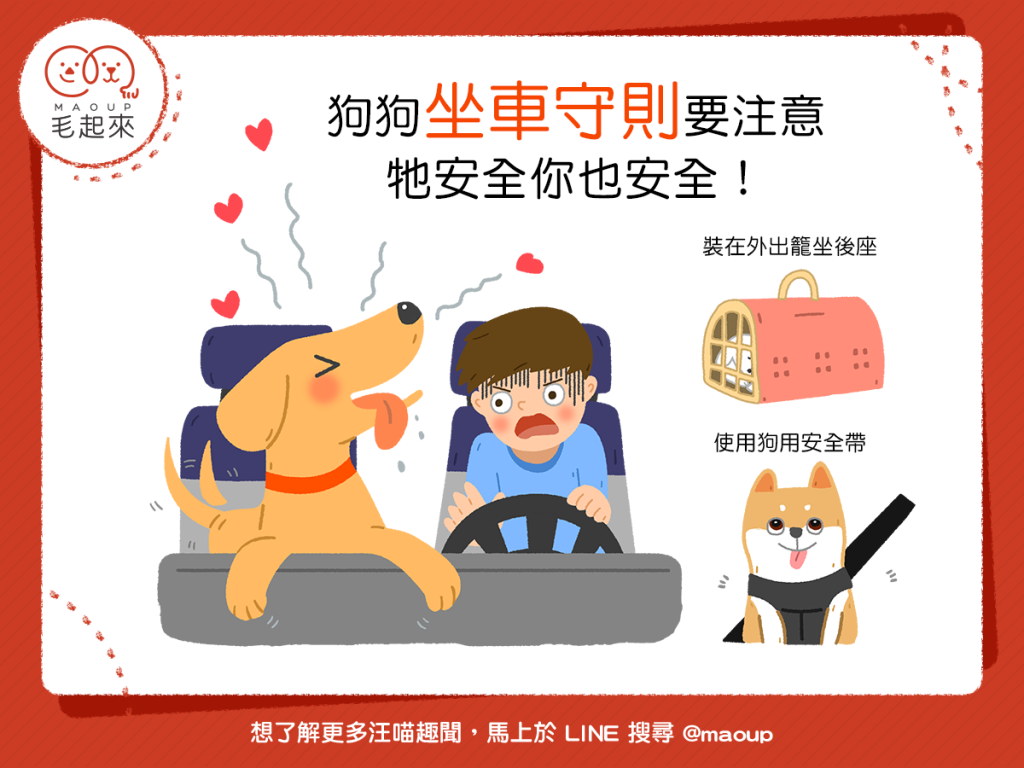 【兜風多注意，行車更安全】狗狗搭車好開心？乘車守則要注意！