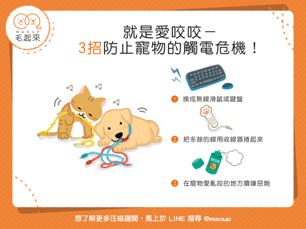 【居家危險】喵汪就愛咬咬講不聽?!3招防止毛孩的觸電危機!