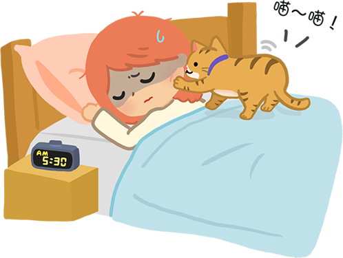 【喵喵訓練術】家有「貓鬧鐘」該怎麼辦？拜託讓我好好睡覺！