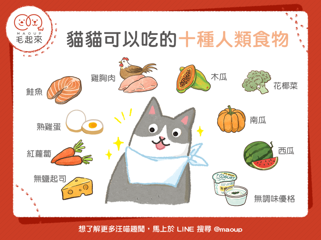 【毛孩食材圖鑑】10種貓貓可以吃的人類食物