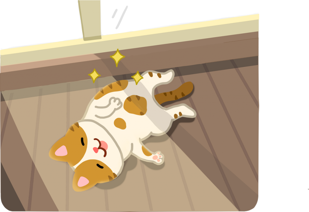【喵喵真心話】貓咪最愛曬「日光浴」，是為什麼咧？
