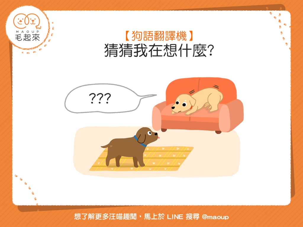 【狗語翻譯機】身體緊繃、眼睛瞪大，狗狗是想說什麼呢？
