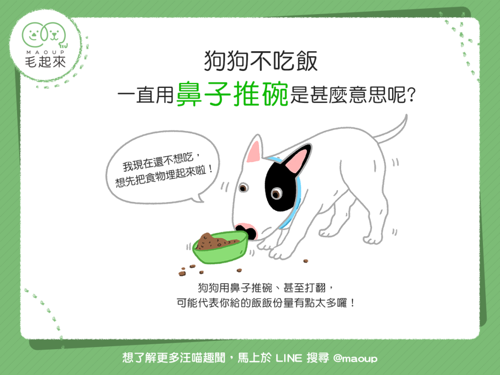 【汪汪行為學】哎唷…狗狗不吃飯，一直用鼻子推碗到底怎麼了？