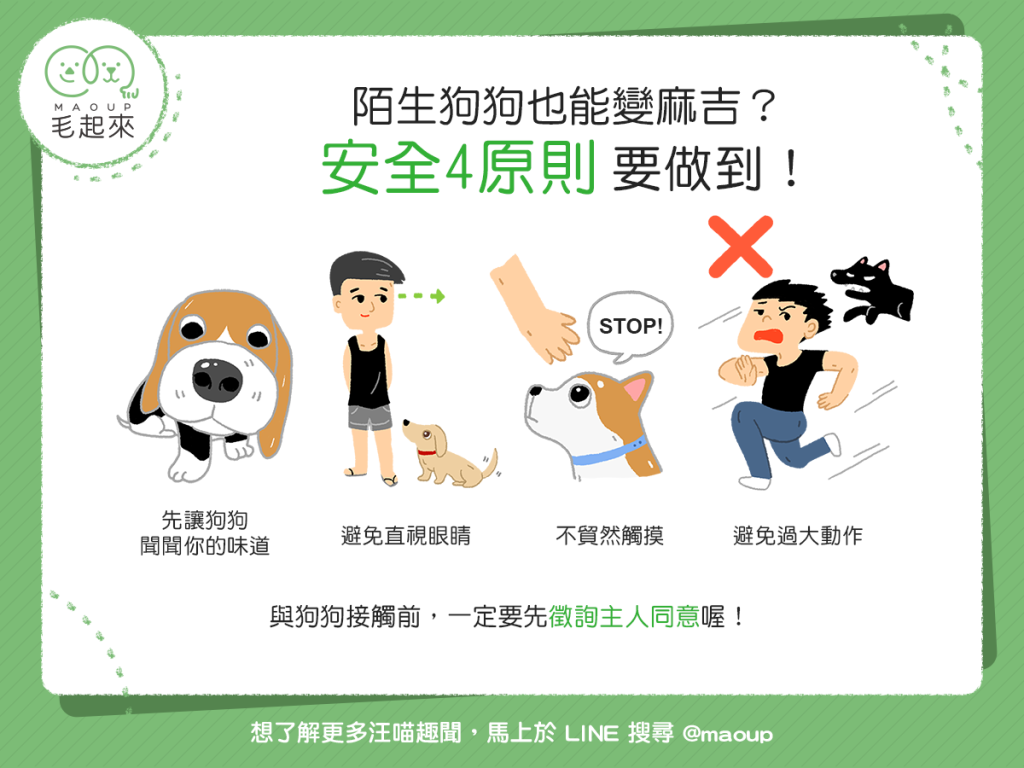 【汪汪小學堂】陌生狗狗也能變麻吉？安全4原則要做到！
