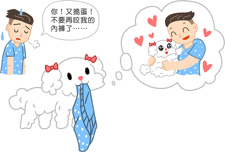 【汪汪行為學】啊!狗狗又咬我的內褲!難不成是某種怪癖?!
