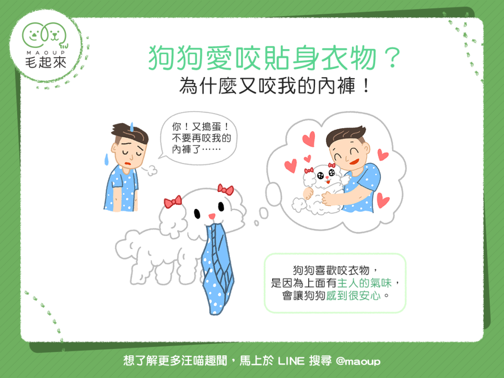【汪汪行為學】啊!狗狗又咬我的內褲!難不成是某種怪癖?!