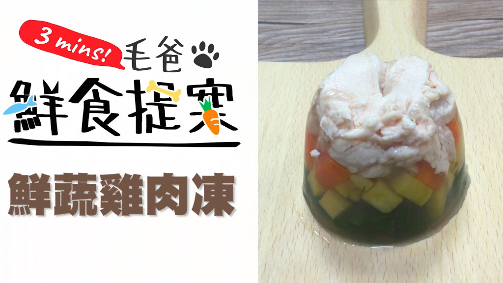 【毛爸鮮食提案】漂亮又健康的汪汪好料理—鮮蔬雞肉凍！