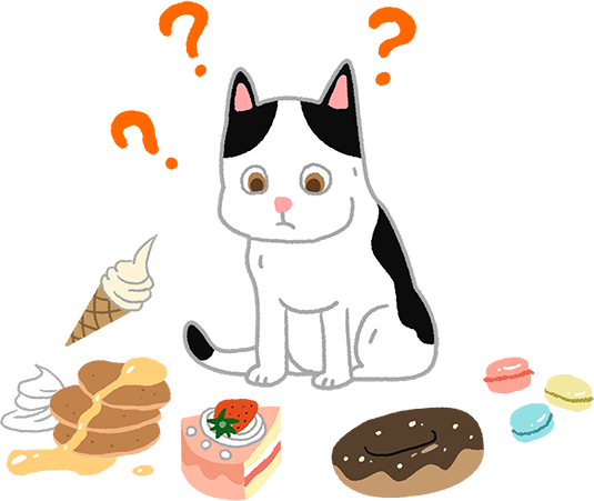 貓咪吃不出甜味貓咪味覺寵物知識