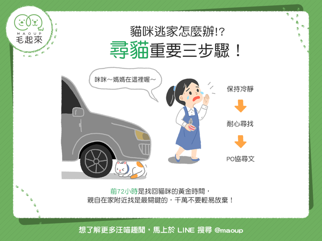 【不可不知】貓貓逃家了！？別慌！尋貓3步驟幫幫你！