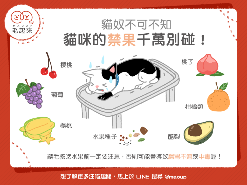 這7種水果貓咪吃了會中毒
