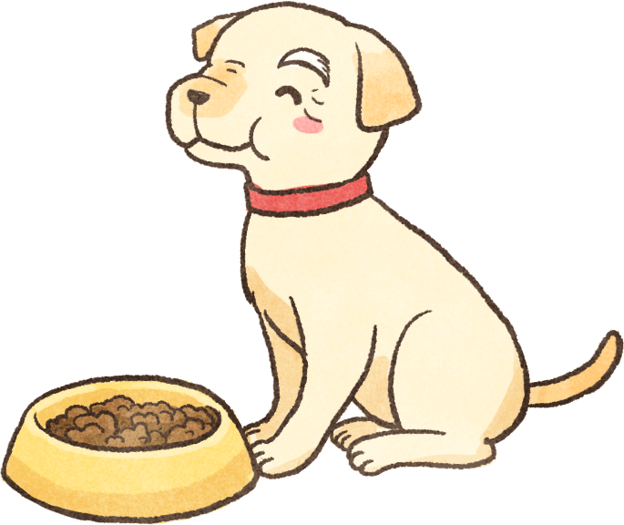 高齡狗犬鮮食料理餵食方法烹調方法