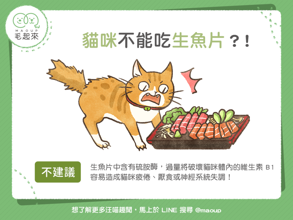 【毛孩食材圖鑑】貓咪不能吃生魚片？！