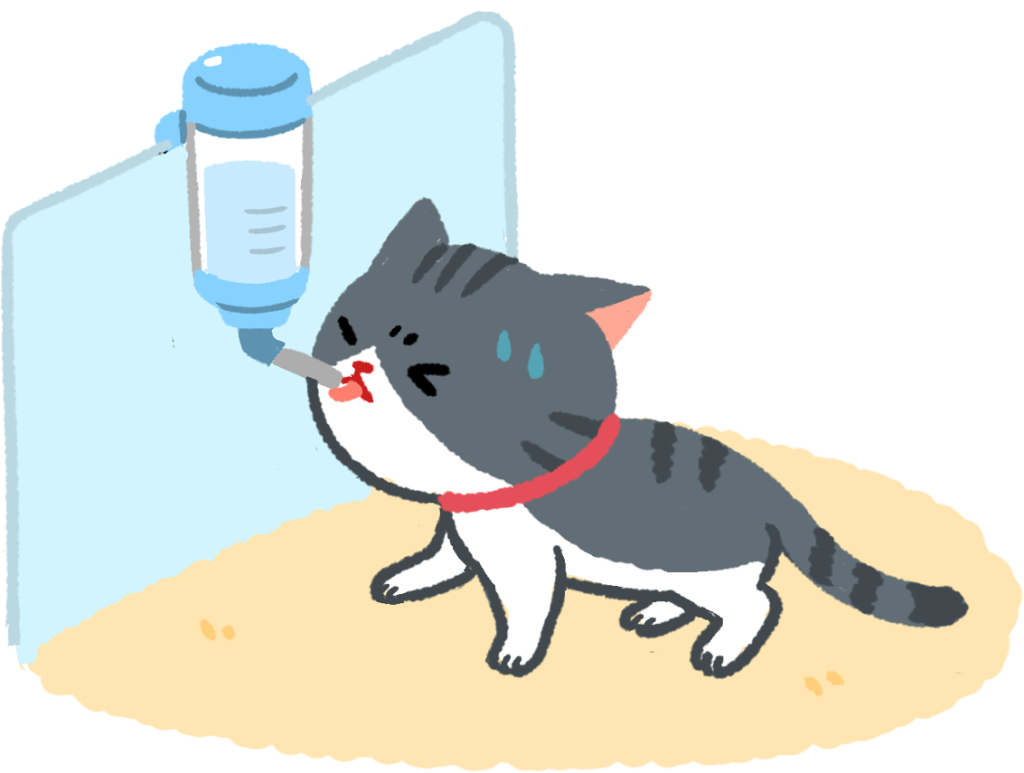 貓咪寵物知識貓咪喝水碗貓咪用什麼喝水裝水貓咪流動式飲水器貓奴看過來別再讓貓咪使用滾珠飲水器啦
