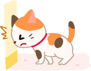 經常撞到東西