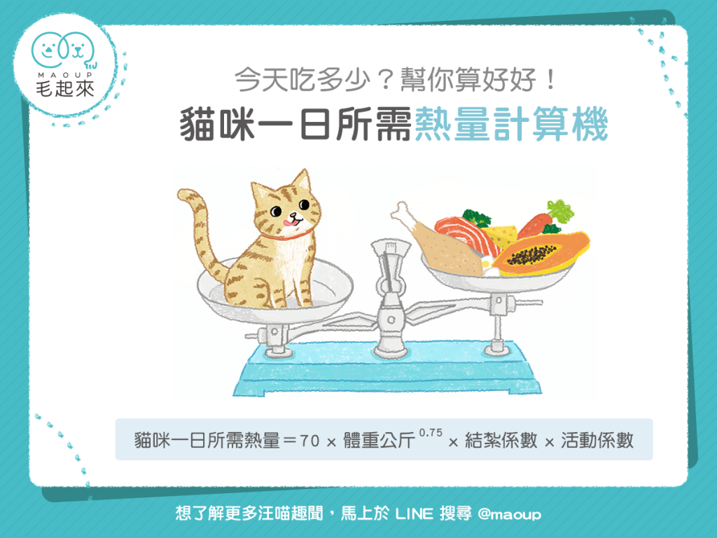 【汪喵餵養知識】貓咪一日所需熱量計算機～吃多吃少幫你算好好！