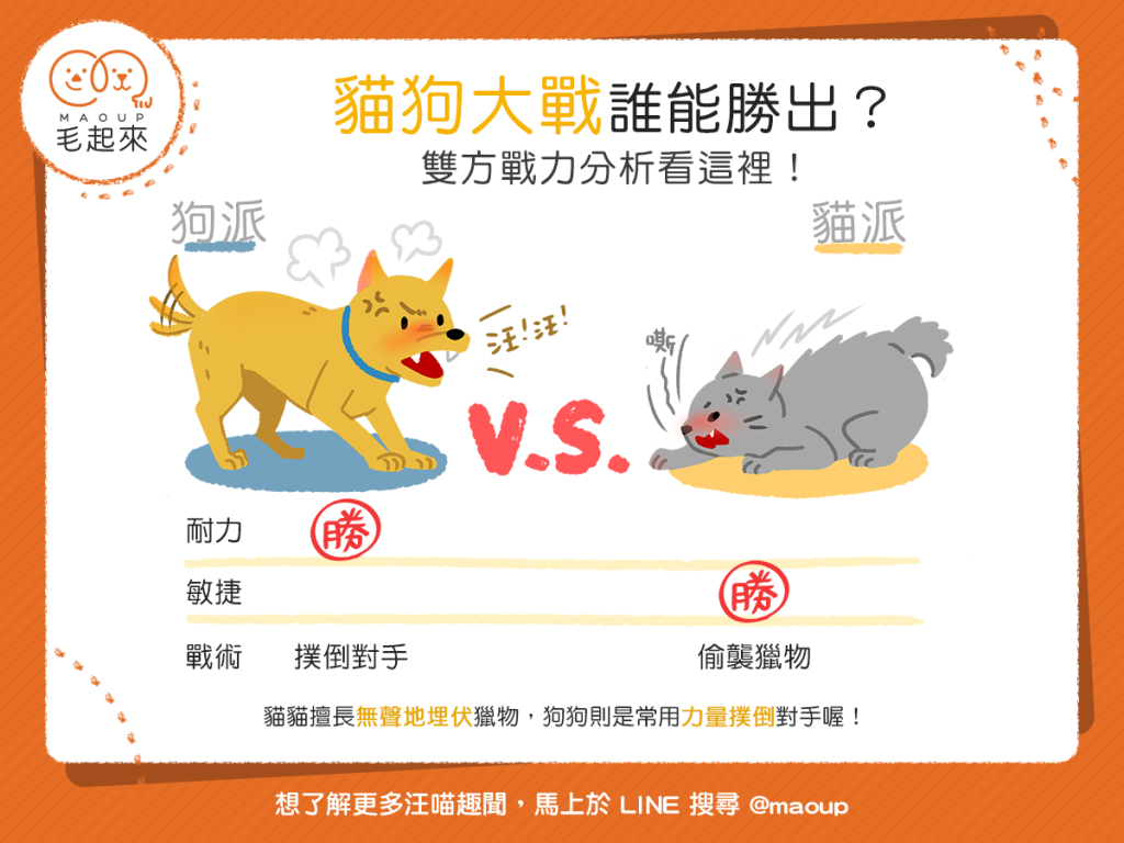 【汪喵小學堂】狗狗 vs. 貓貓——狩獵比賽誰能勝出？