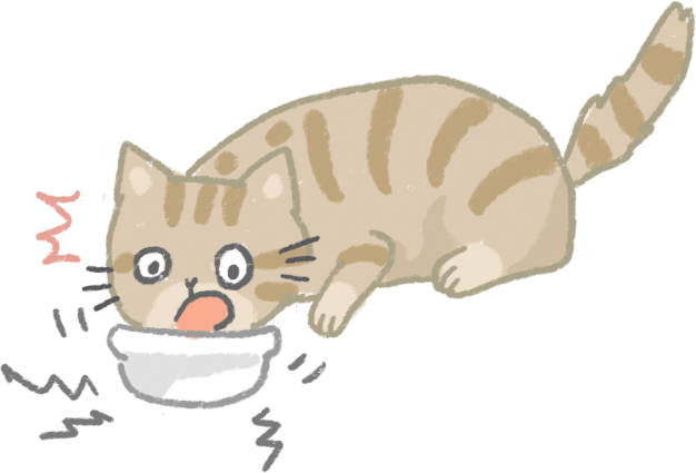 【汪喵餵養知識】你家的貓碗買對了嗎？吃好吃滿3缺1不可！