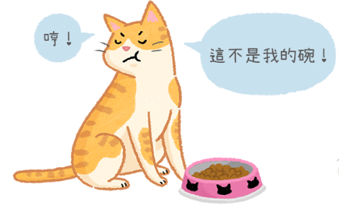 【汪喵餵養知識】貓咪也會認碗嗎？主子就是任性～我要專屬食碗！