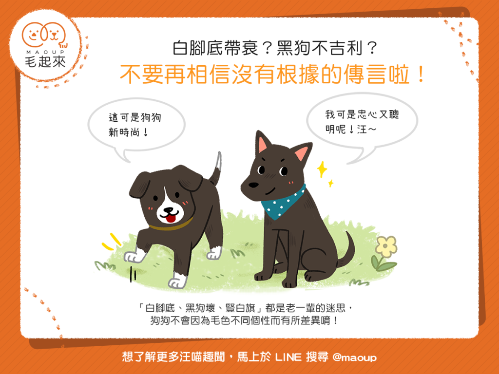 【迷思大破解】白腳底帶衰？黑狗不吉利？這都是沒根據的傳言！