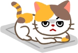 【喵喵行為學】電腦又被占領啦（哭）貓貓熱愛鍵盤的原因是？！