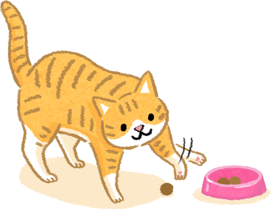 【汪喵餵養知識】為什麼貓咪喜歡把食物叼出碗吃？