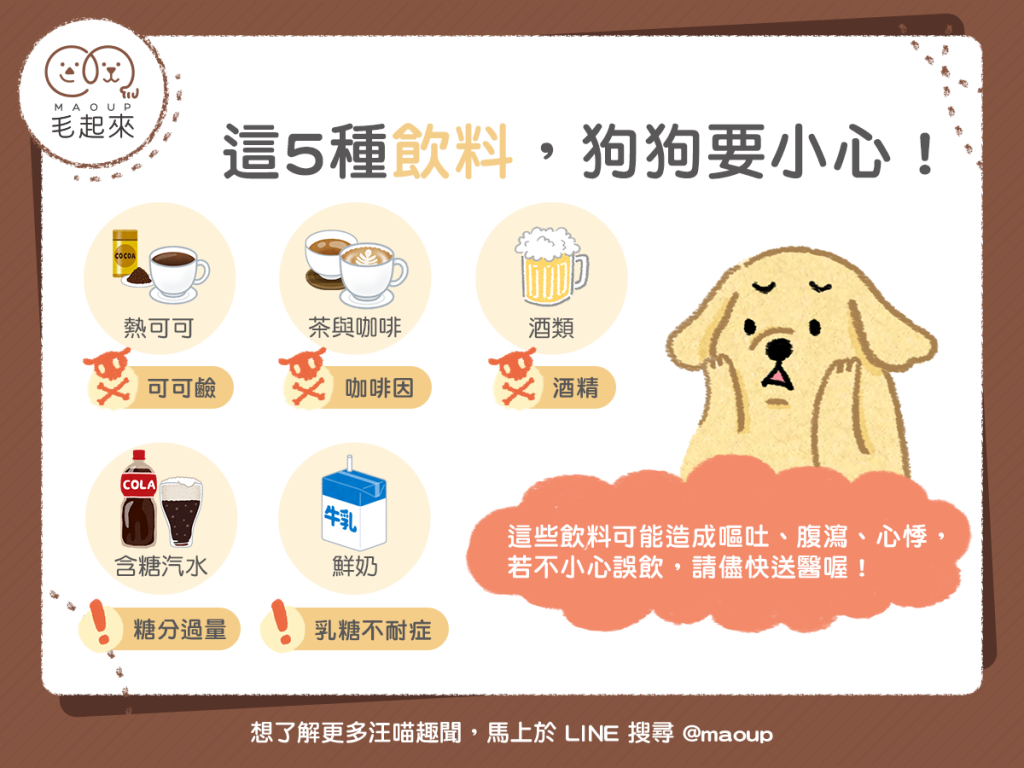 【汪喵餵養知識】狗狗要小心的5種飲料，熱可可、咖啡、茶、酒通通禁止！