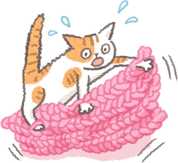 貓狗寵物天冷蓋被隱憂勾到纏到燙到加熱毯針織物保暖注意事項