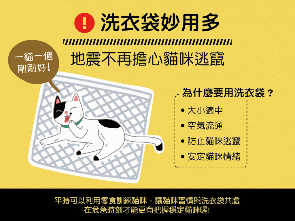 【地震注意報】洗衣袋妙用多～地震不再擔心貓咪逃竄！