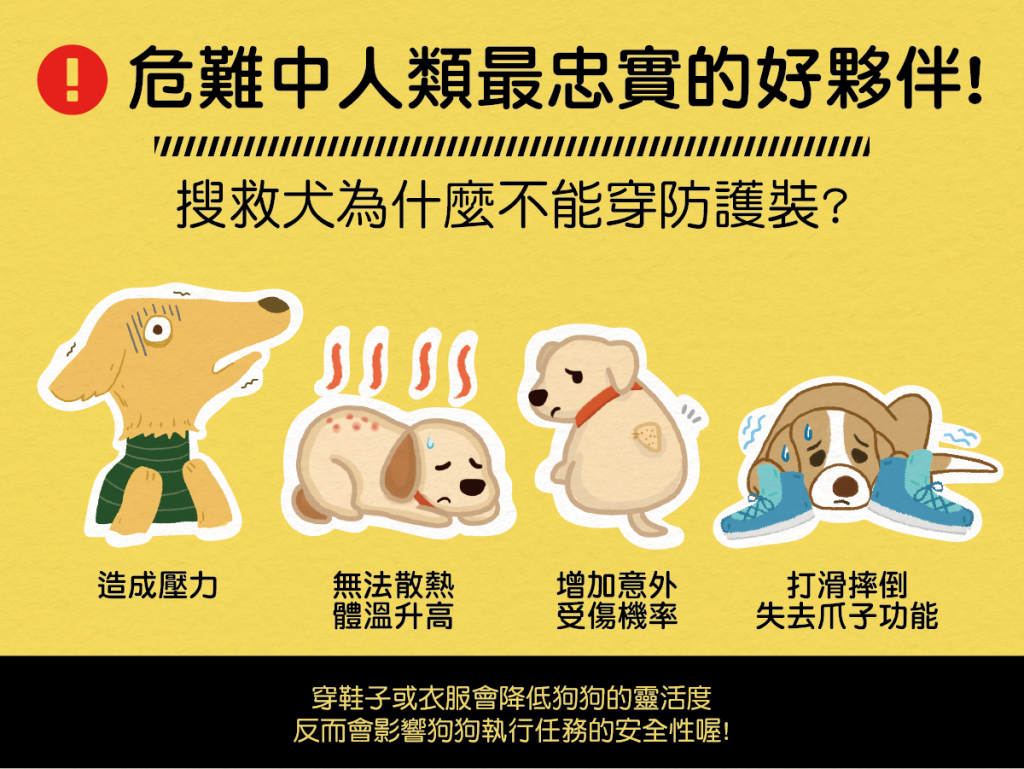 【地震注意報】人類最忠實的好夥伴－搜救犬不能穿防護裝？