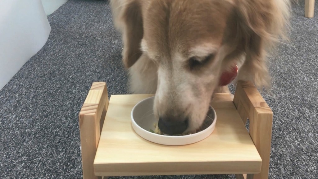 毛爸鮮食提案寵物狗狗鮮食日式料理金針黃金菇菇親子丼