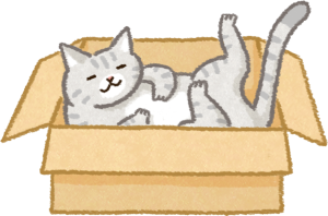 貓咪躲紙箱可以增加安全感