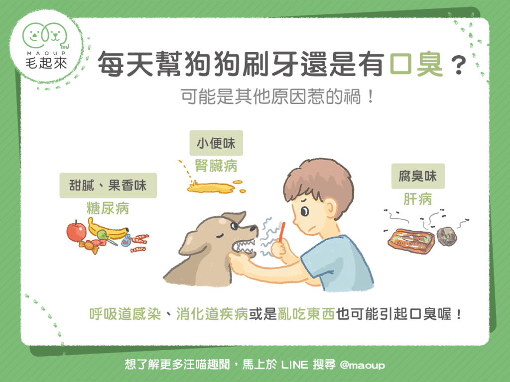 【汪汪康健】每天幫狗狗刷牙還是有口臭？可能是其他原因惹的禍！