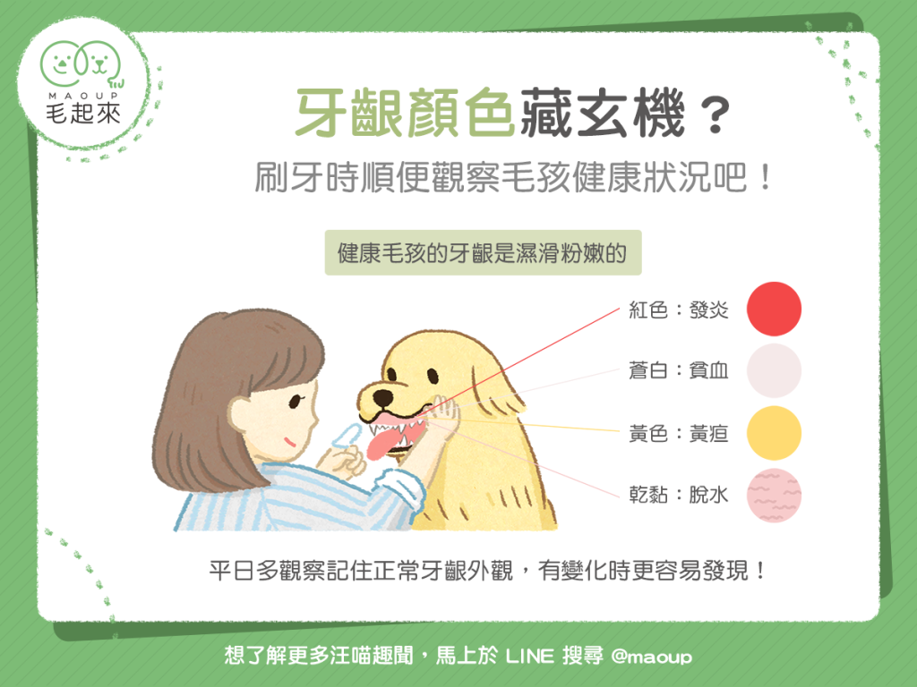 【汪喵康健】貓狗的牙齦顏色跟健康狀況有關？刷牙時順便做個檢查吧！