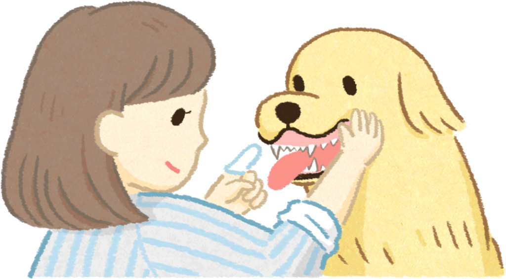 貓狗的牙齦顏色跟健康狀況有關？刷牙時順便做個檢查吧！