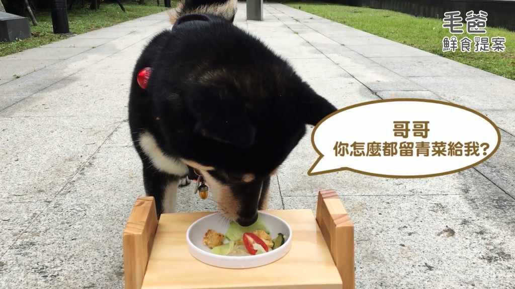 毛爸鮮食提案狗狗貓咪也能吃炸雞健康氣炸黃金唐揚雞